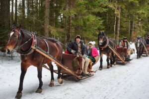 Wieczór Kawalerski Zakopane i Wieczór Panieński w Zakopanem - zdjęcie 9 - skutery śnieżne Zakopane