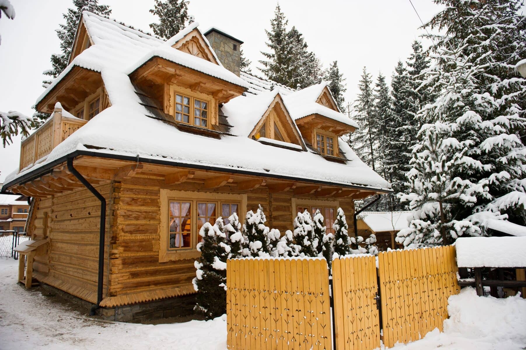 Zakopane - skutery śnieżne, snowmobile, wycieczki i wyprawy - zdjęcie 2 - skutery śnieżne Zakopane